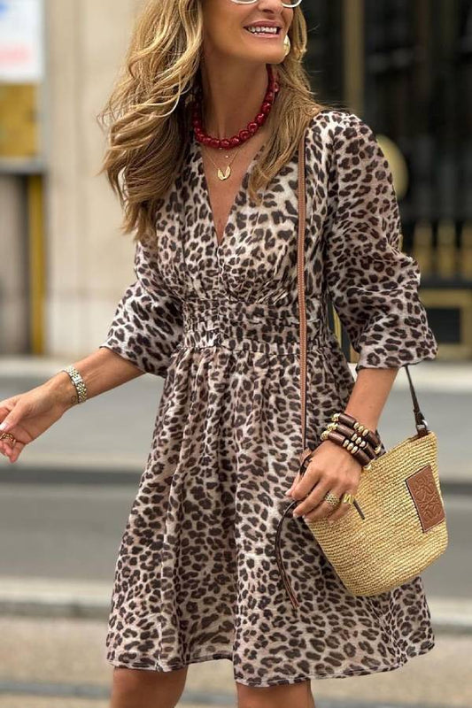 Iraida Leopard Print Dress